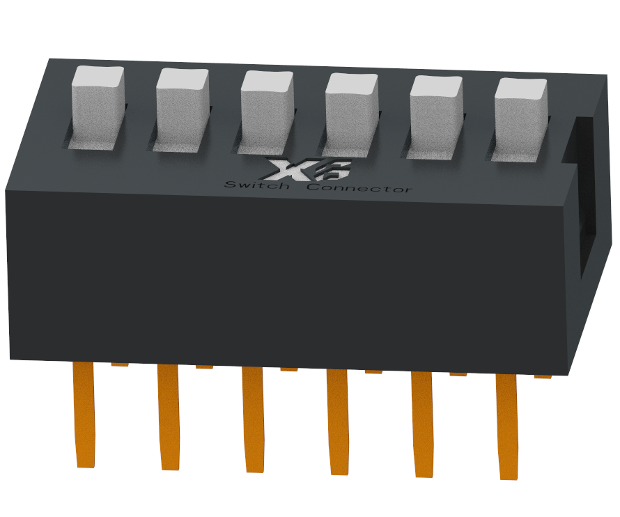 XB-DS-06BLP-X-X