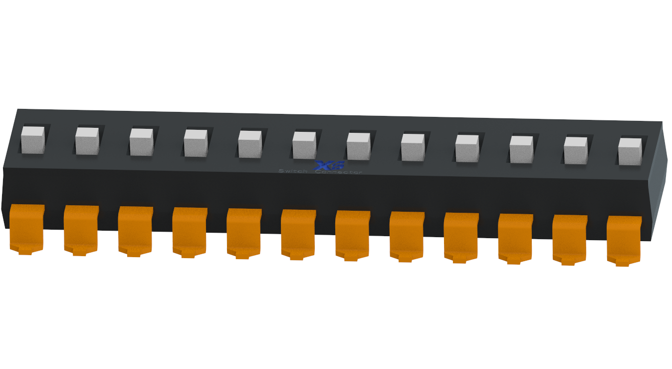 XB-DSIC12LS-P