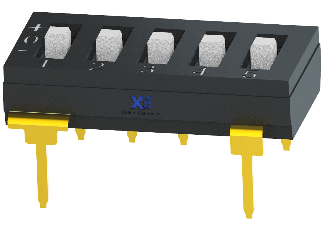 XB-DSDT-5P-D