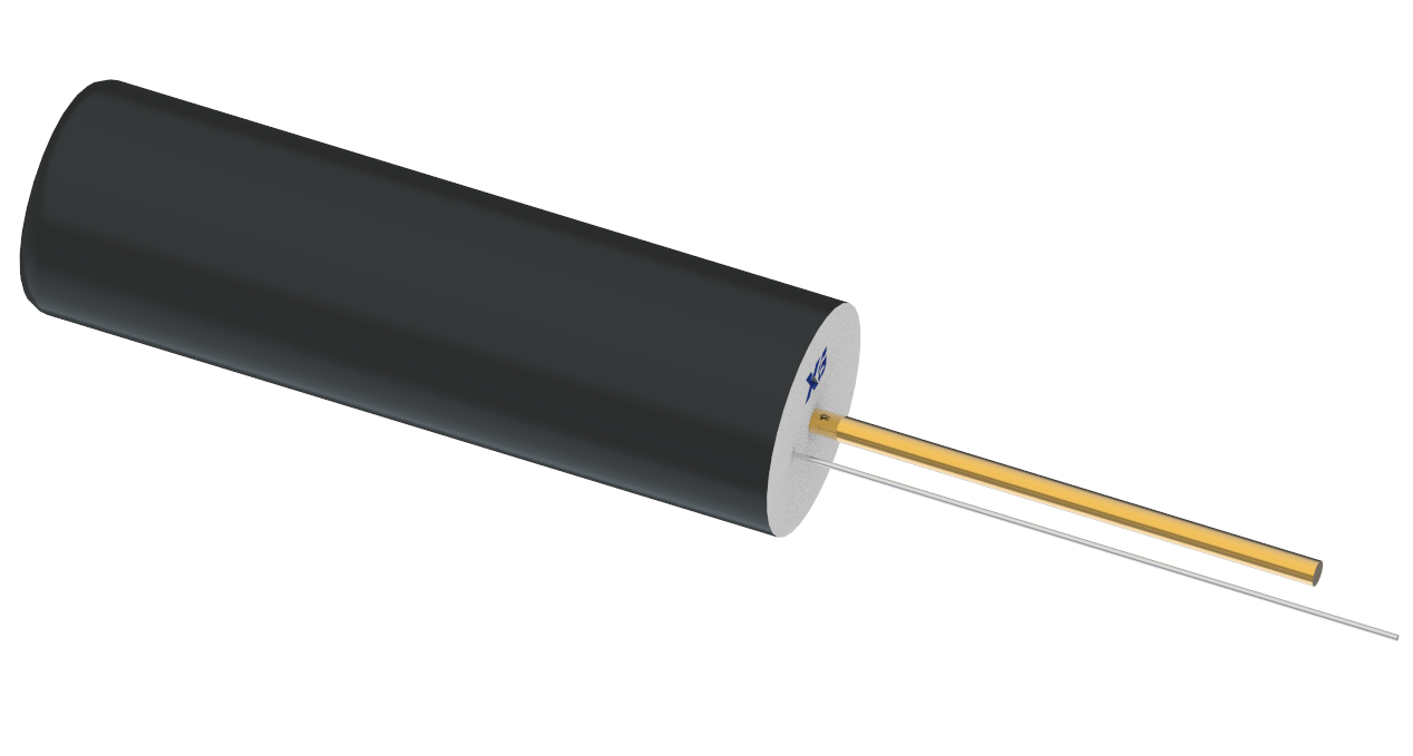 XB-SW-18110PZR-10G12S1
