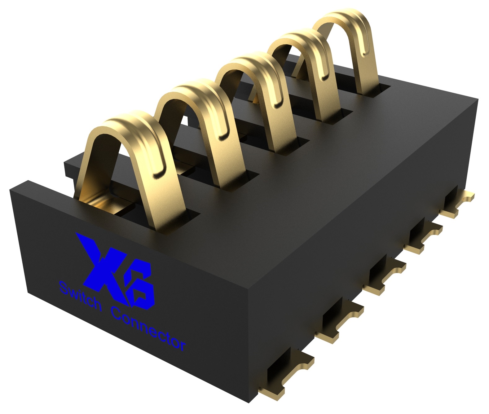 XB - BC - 24 - 5p260 - l
