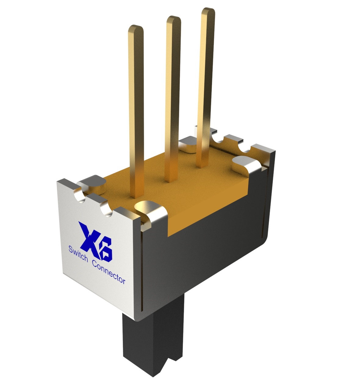 XB-SS-12D09-L-X-X