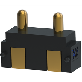 XB - PGC - X - 2 - 202 - X