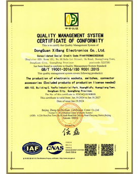 ISO 9001 Quality Management system certification English